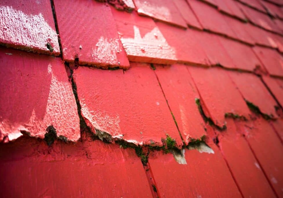 Sell As Is, Save Big: Solving Aging Roof Problems: Selling To A Cash Home Buyer For Quick Fixes